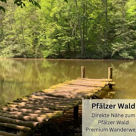 Schuhpartment Am Pfaelzer Wald Naehe Outlet Center Zweibruecken