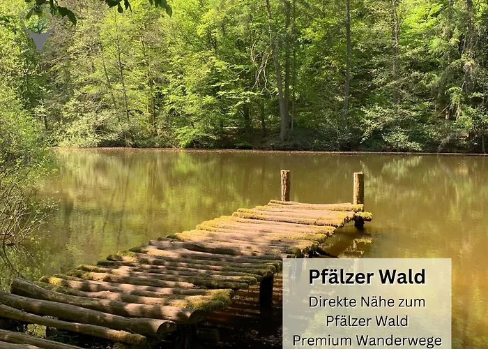 Schuhpartment Am Pfaelzer Wald Naehe Outlet Center Zweibruecken
